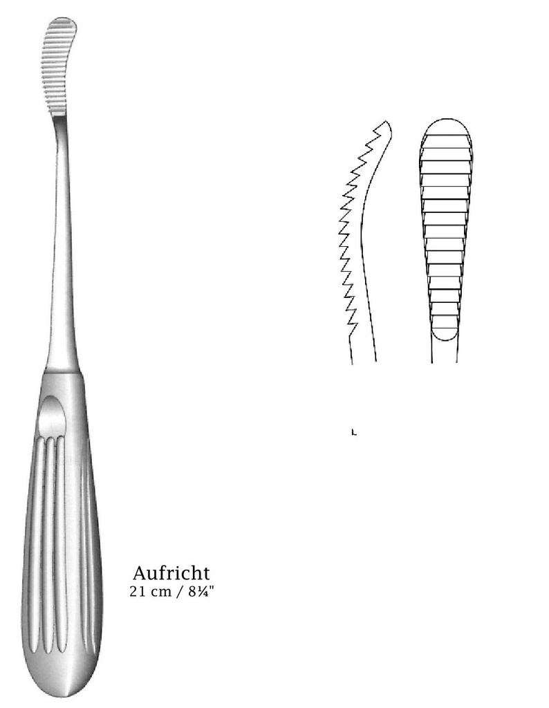 Raspador para glabela Aufricht - longitud = 21 cm / 8-1/4&quot;, ancho = 32 x 9 mm, corte hacia atrás de un solo extremo